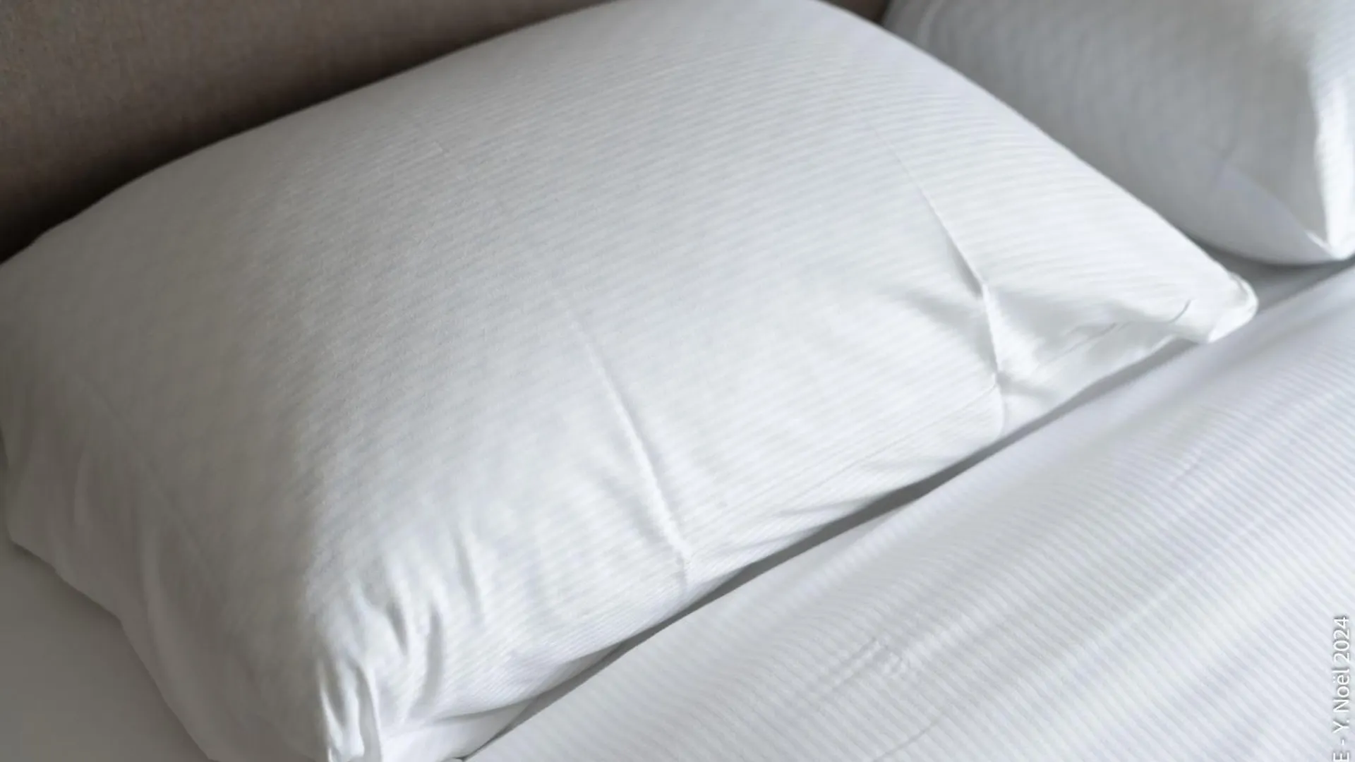 Villa La Louve - Big Place & Garden - Parking Gratuit Brussels